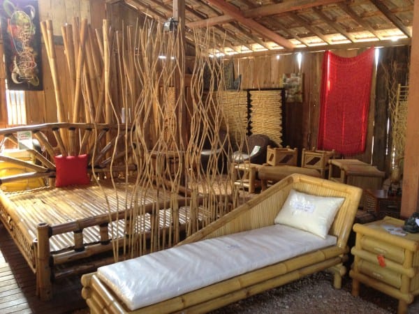Les utilisations possibles du bambou
